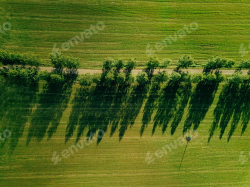Preview: Aerial View of A road crossing the countryside in summer