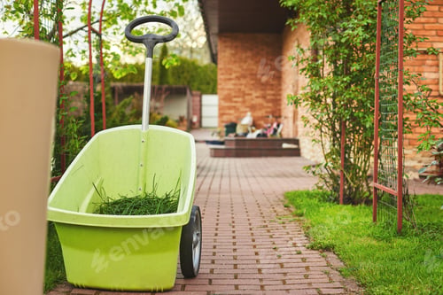 Preview: The hand throws the newly mown grass into the garden wheelbarrow, place for text