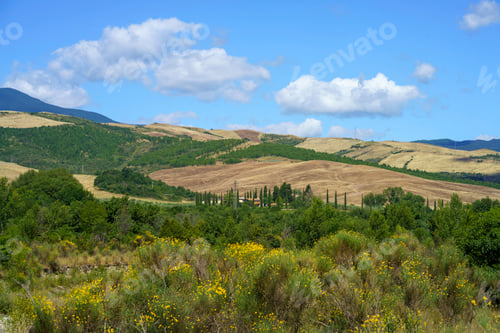Preview: Rural landscape along the Cassia near Radicofani, Tuscany