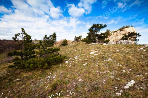 Preview: Meadow with green grass strewn stones and boulders