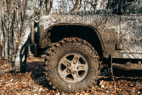 Preview: Dirty off road car on trip in forest