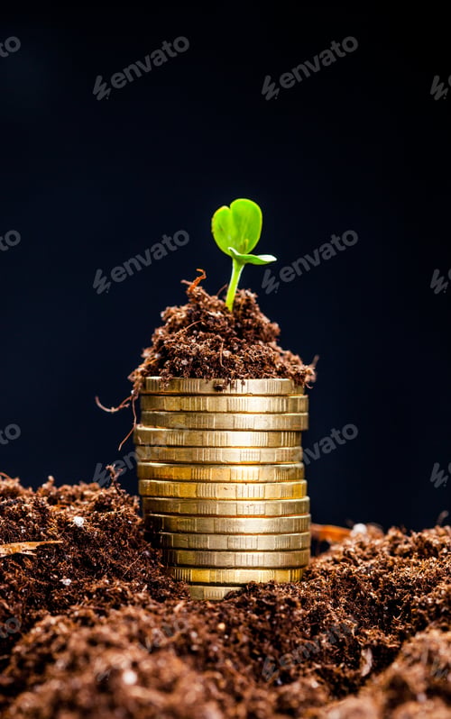 Preview: Golden coins in soil with young plant. Money growth concept.