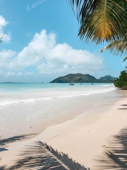 Preview: Tropical beach with shadow of palm tree on sand.