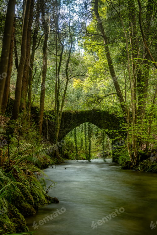 Preview: Old rock bridge over Filveda river