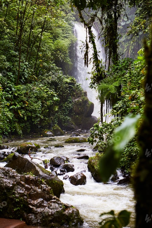 Preview: Waterfall in beautiful rainforest