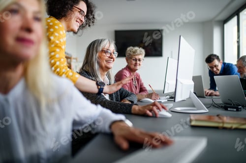 Preview: Group of senior people attending computer and technology education class