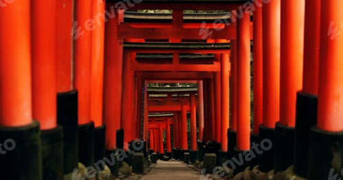 Preview: Japan, red torii gates and path in Fushimi inari-taisha for vacation, holiday or walkway for touris