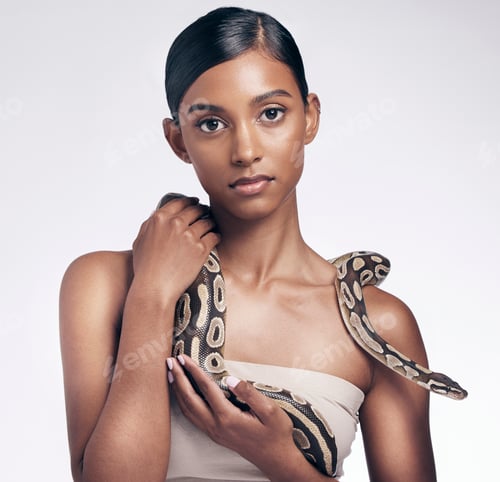 Preview: Beauty, portrait and woman in studio with snake on neck for art aesthetic with exotic zoo animal on