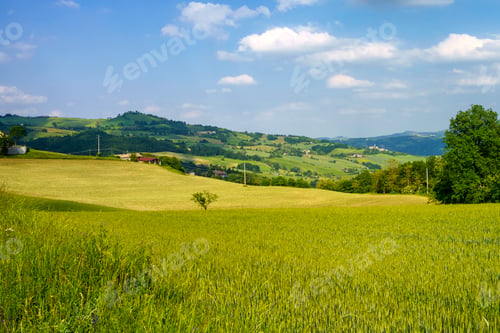 Preview: Rural landscape near Nibbiano, Emilia-Romagna, at May