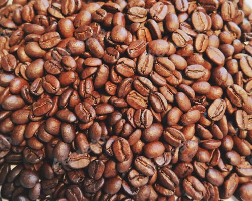 Preview: Aromatic Roasted Coffee Beans Close-up