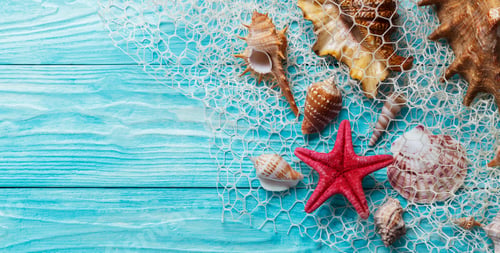 Preview: Summer background with sea shells