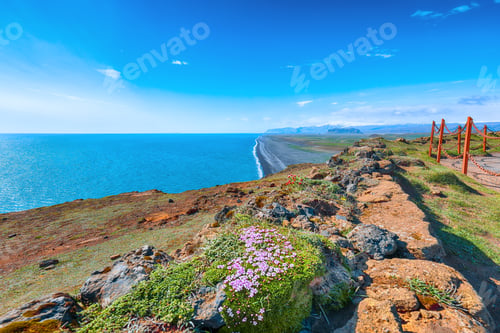Preview: Impressive View of Kirkjufjara black sand beach from Dyrholaey promontory on Atlantic South Coast