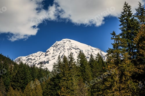 Preview: Mt. Rainier Meadow Views, Mt. Rainer National Park, Washington