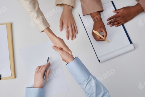 Preview: Business Women Shaking Hands