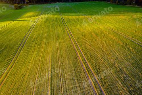 Preview: Picturesque autumn scene of a rolling hills of agricultural area from a birds eye view at sunset