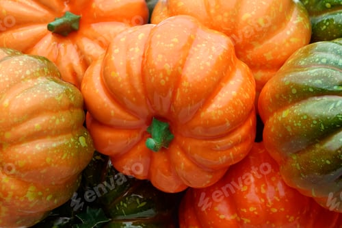 Preview: Group of orange and green pumpkins