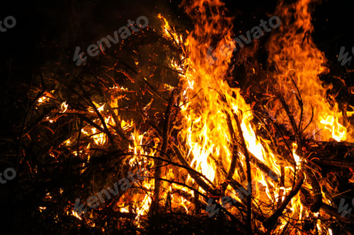 Preview: Bonfire outdoors at night.
