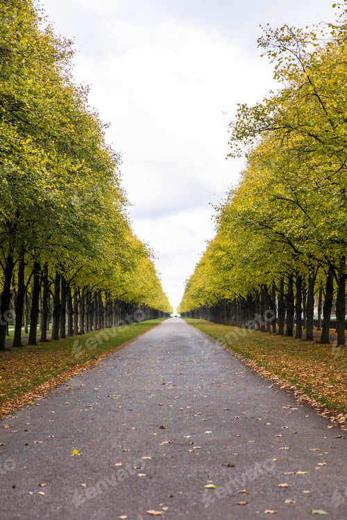 Preview: Autumn alley