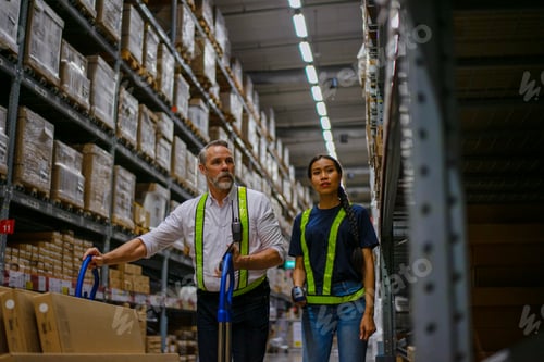 Logistics employees are working warehouse.