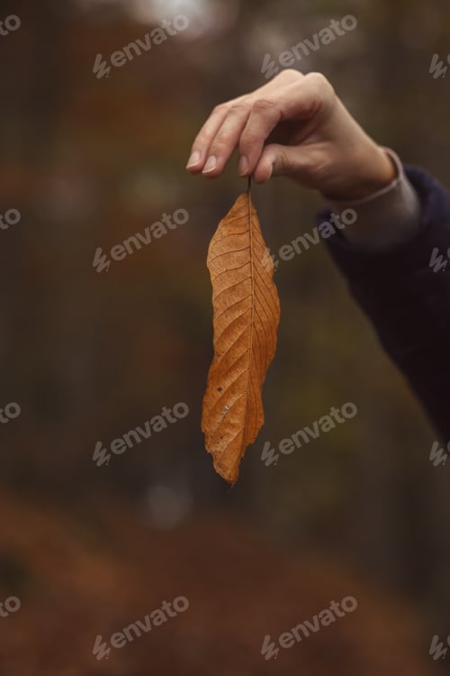Preview: Girl holding a leaf in hand