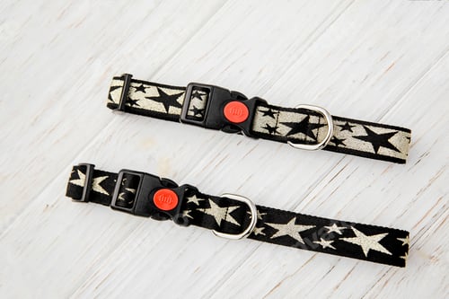 Preview: Stylish, bright and comfortable collar from pet shop for obedient dog, cat or other pets and domesti