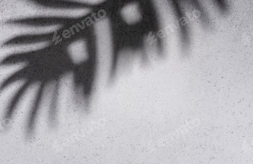 Preview: Shadows from palm leaves