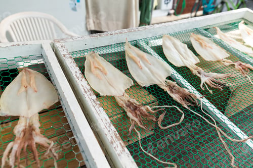 Preview: Dry squid