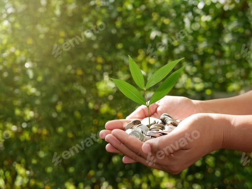 Preview: A plant sprouting from a handful of coins. Investment, finance, and accounting concept