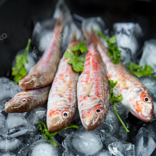 Preview: Fresh fish (Mullus barbatus ponticus)