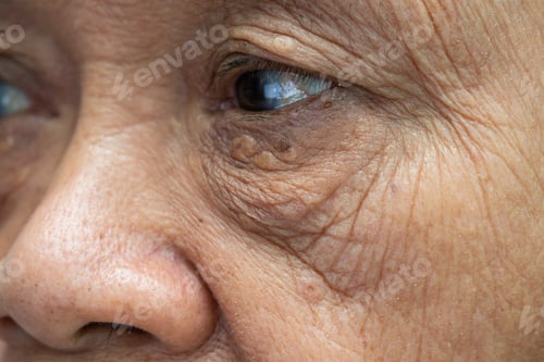 Preview: Asian elderly woman face and eye with wrinkles, portrait closeup view.
