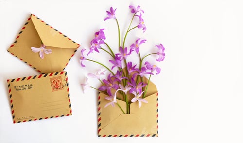 Preview: Creative spring flatlay with a kraft paper envelope and delicate purple flowers of glory of the snow