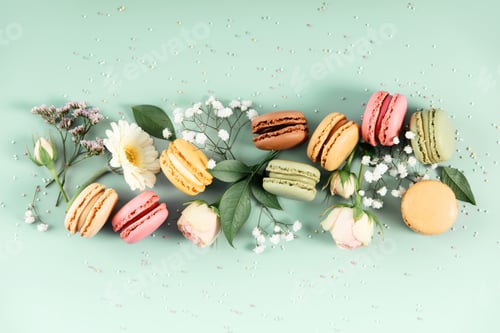 Preview: Assorted Macarons and Flowers on Pastel Green Background