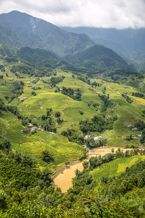 Preview: Valley between the mountains of Sapa and its rice paddies. Vietnam