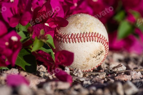 Preview: Baseball in Bougainvillea