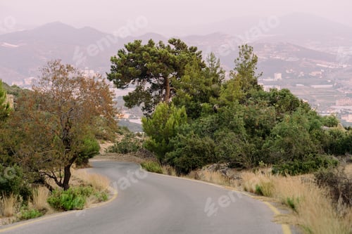 Preview: Road going among trees into the mountains
