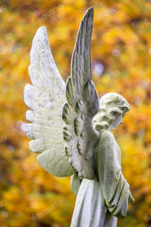 Preview: angel statue, close up shot