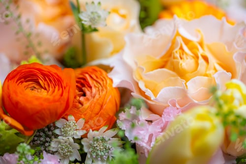 Preview: Set of flower box with different flower