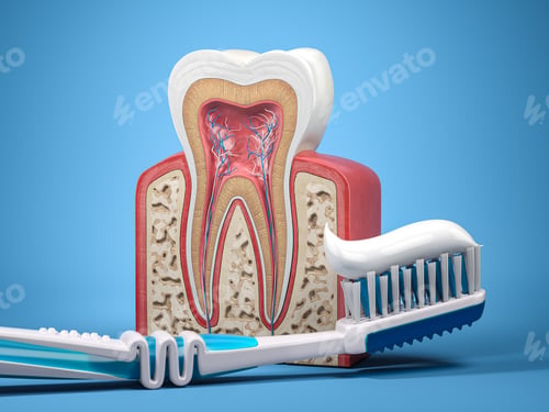 Preview: Tooth brush with toothpaste and cross section of human tooth. Dental health and protection concept.