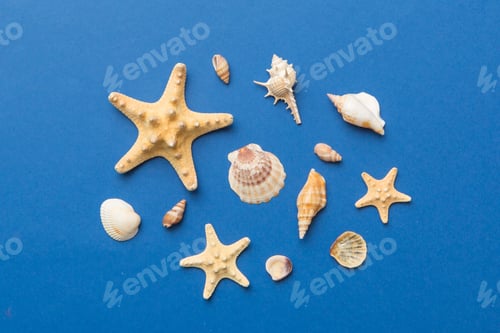 Preview: Summer time concept Flat lay composition with beautiful starfish and sea shells