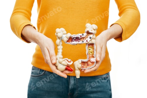 Preview: Treatment of colitis, flatulence, indigestion. Woman holds in front of her anatomical model of the