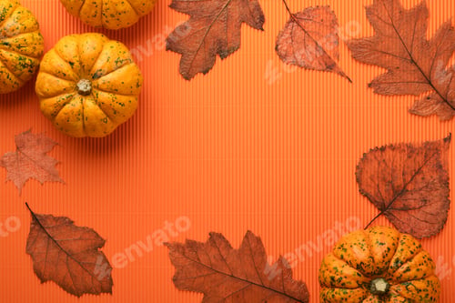 Preview: Halloween holiday background. Orange pumpkin, bat with funny eyes, spider, spider web, old leaves an