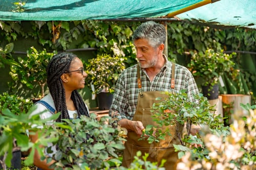 Preview: Master gardener teaching student girl flower nursery in greenhouse