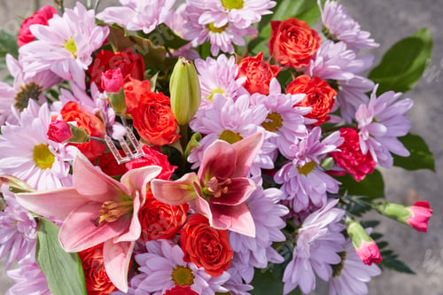 Preview: Close-up photo of colorful flowers