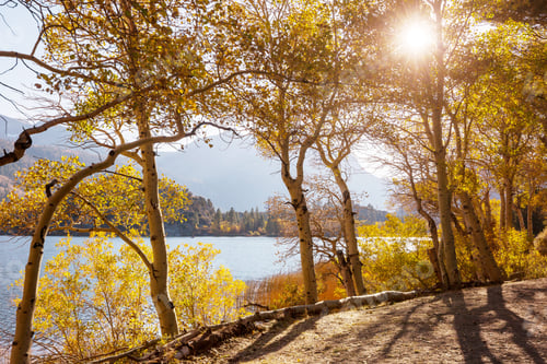 Autumn lake