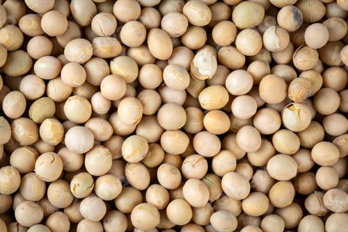 Preview: Raw dehydrated soybeans texture background top view.
