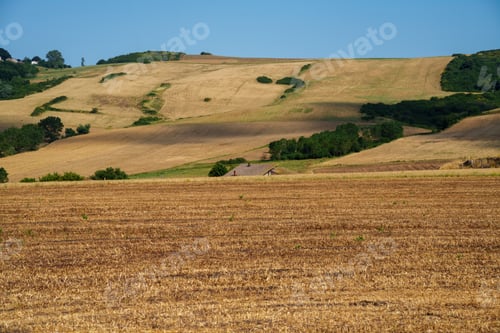 Preview: Rural landscape in Avellino province, Italy