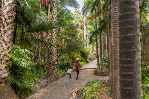 Preview: A mother and child enjoying and walking in a tropical botanical garden. family on vacation