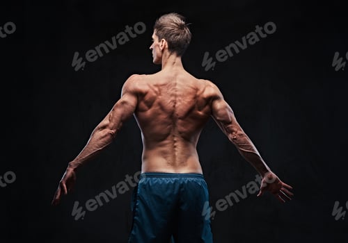 Preview: Muscular male. Back view.