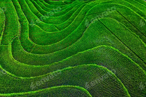Preview: beautiful morning view from Indonesia of mountains and tropical forest