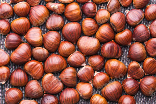 Preview: Ripe chestnuts close up. Raw Chestnuts for Christmas. Fresh sweet chestnut